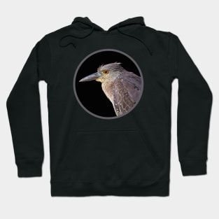 Black-crowned Night Heron Juvenile Hoodie